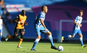 Brighton and Hove Albion vs Hull City: Sky Bet Championship Showdown at American Express Community Stadium (September 12, 2015)
