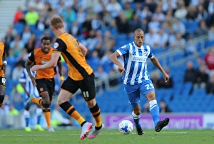 Brighton and Hove Albion vs Hull City: Sky Bet Championship Showdown at American Express Community Stadium (September 12, 2015)