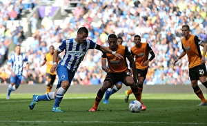 Brighton and Hove Albion vs Hull City: Sky Bet Championship Showdown at American Express Community Stadium (September 12, 2015)
