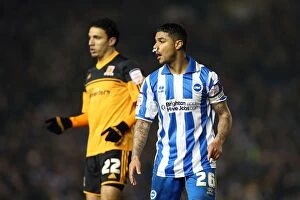 Images Dated 9th February 2013: Brighton & Hove Albion vs. Hull City (2012-13) - Home Game Highlights: 09-02-2013