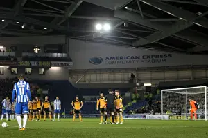 Hull City - 09-02-2013 Prints: Brighton & Hove Albion vs Hull City: 2012-13 Home Game