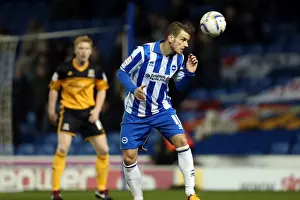 Hull City - 09-02-2013 Prints: Brighton & Hove Albion vs. Hull City: 2012-13 Home Game