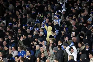 Hull City - 09-02-2013 Prints: Brighton & Hove Albion vs. Hull City: 2012-13 Home Game