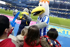 Hull City - 09-02-2013 Prints: Brighton & Hove Albion vs. Hull City: 2012-13 Home Game