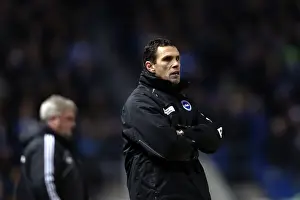 Hull City - 09-02-2013 Prints: Brighton & Hove Albion vs. Hull City: 2012-13 Home Game