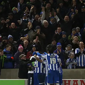 Hull City - 09-02-2013 Prints: Brighton & Hove Albion vs. Hull City: 2012-13 Home Game