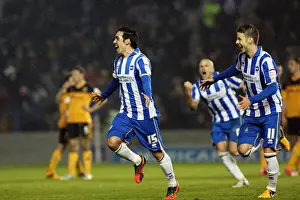 Hull City - 09-02-2013 Prints: Brighton & Hove Albion vs. Hull City: 2012-13 Home Game