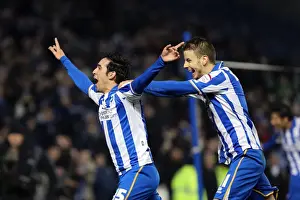 Brighton & Hove Albion vs. Hull City: 2012-13 Home Game