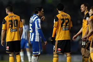 Hull City - 09-02-2013 Prints: Brighton & Hove Albion vs. Hull City (2012-13 Season): A Glance at Our Past Home Game