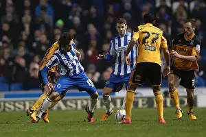 Hull City - 09-02-2013 Prints: Brighton & Hove Albion vs. Hull City (2012-13 Season): A Nostalgic Look Back at Our Past Home Game - 09-02-2013