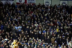 Brighton & Hove Albion vs. Hull City: 2013-14 Season Home Game