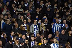 Brighton & Hove Albion vs. Hull City: 2013-14 Season Home Game