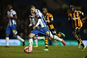 Brighton & Hove Albion vs. Hull City: 2013-14 Season Home Game