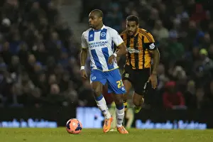 Brighton & Hove Albion vs. Hull City: 2013-14 Season Home Game
