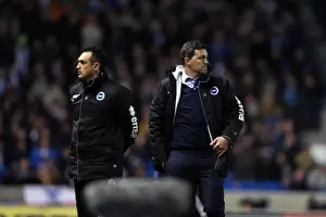 Brighton & Hove Albion vs. Hull City: 2013-14 Season Home Game