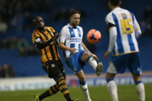 Brighton & Hove Albion vs. Hull City: 2013-14 Season Home Game