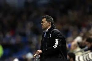 Brighton & Hove Albion vs. Hull City: 2013-14 Season Home Game