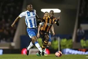 Brighton & Hove Albion vs. Hull City: 2013-14 Season Home Game