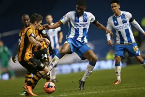 Brighton & Hove Albion vs. Hull City: 2013-14 Season Home Game
