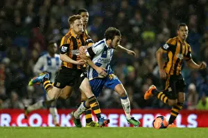 Brighton & Hove Albion vs. Hull City: 2013-14 Season Home Game