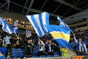 Brighton & Hove Albion vs. Hull City: 2013-14 Season Home Game (February 17, 2014)