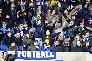 Brighton & Hove Albion vs. Hull City: 2013-14 Season Home Game (February 17, 2014)