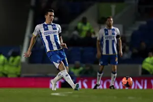 Brighton & Hove Albion vs. Hull City: 2013-14 Season Home Game (February 17, 2014)