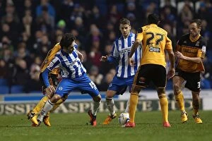 Images Dated 9th February 2013: Brighton & Hove Albion vs. Hull City (2012-13 Season): A Nostalgic Look Back at Our Past Home Game