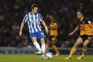 Hull City - 09-02-2013 Prints: Brighton & Hove Albion vs Hull City: Dean Hammond Focuses in Npower Championship Match at Amex Stadium