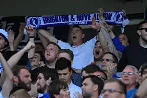 Brighton and Hove Albion vs Hull City: Electric Atmosphere in the Stands during Sky Bet Championship Match, September 2015