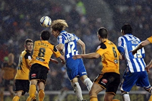 Brighton & Hove Albion vs. Hull City: February 9, 2013 - A Home Season Clash