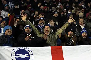 Hull City - 09-02-2013 Prints: Brighton & Hove Albion vs. Hull City: Home Game - 09-02-2013