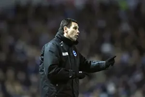Hull City - 09-02-2013 Prints: Brighton & Hove Albion vs. Hull City: Home Match - 09-02-2013