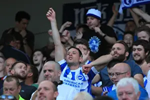 Brighton and Hove Albion vs Hull City: A Sea of Passionate Fans in the Sky Bet Championship Clash, September 2015