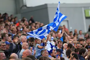 Brighton and Hove Albion vs Hull City: A Sea of Passionate Fans in the Sky Bet Championship Clash, September 2015