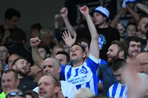 Brighton and Hove Albion vs Hull City: A Sea of Passionate Fans in the Sky Bet Championship Match, September 2015
