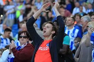 Brighton and Hove Albion vs Hull City: A Sea of Passionate Fans during the Sky Bet Championship Match, September 2015