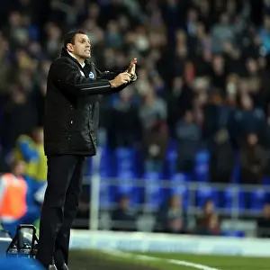 Ipswich Town - 01-01-2013 Prints: Brighton & Hove Albion vs Ipswich Town: 1-1 Stalemate (2012-13 Season - Away Game)