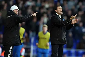Ipswich Town - 01-01-2013 Prints: Brighton & Hove Albion vs Ipswich Town: 1-1 Stalemate (2012-13 Season - Away Game)