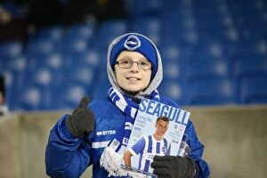 Images Dated 21st January 2015: Brighton and Hove Albion vs Ipswich Town: Passionate Fan Moment at American Express Community