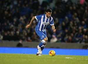 Brighton & Hove Albion vs Ipswich Town: A Fierce Championship Clash at the American Express Community Stadium (29DEC15)