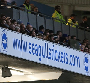 Brighton and Hove Albion vs Ipswich Town: A Championship Battle at American Express Community Stadium (29DEC15)