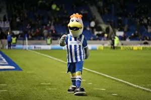 Images Dated 29th December 2015: Brighton & Hove Albion vs. Ipswich Town: A Fierce Championship Clash at American Express Community