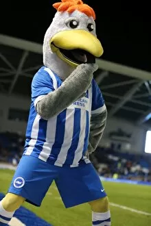 Images Dated 29th December 2015: Brighton and Hove Albion vs Ipswich Town: Sky Bet Championship Showdown at American Express