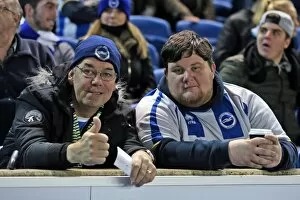 Images Dated 29th December 2015: Brighton and Hove Albion vs Ipswich Town: Sky Bet Championship Battle at American Express