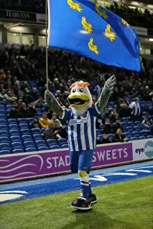 Images Dated 29th December 2015: Brighton & Hove Albion vs. Ipswich Town: A Fierce Championship Clash (29DEC15)