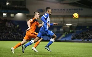 Images Dated 29th December 2015: Brighton & Hove Albion vs Ipswich Town: A Championship Battle at American Express Community