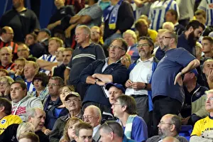 Brighton & Hove Albion vs Ipswich Town: 16 September 2014 - Away Game, Season 2014-15