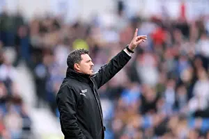 Brighton & Hove Albion vs Ipswich Town (2013-14 Season: Home Game)