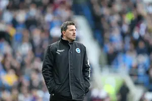Brighton & Hove Albion vs. Ipswich Town (2013-14 Season: Home Game)